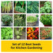 set of 12 best seeds for kitchen gardening 