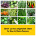 set of 12 best vegetable seeds to sow in rainy season 