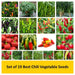 set of 19 best chili vegetable seeds 