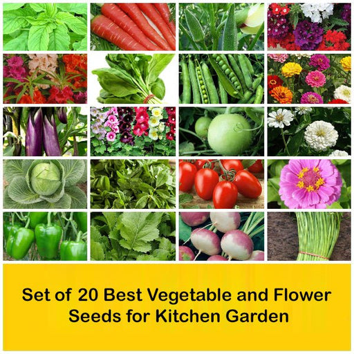 set of 20 best vegetable and flower seeds for kitchen garden 