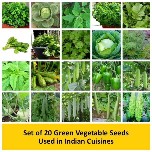 set of 20 green vegetable seeds used in indian cuisines 