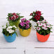 Product image thumbnail 2