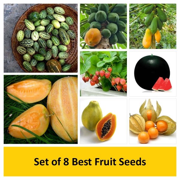 set of 8 best fruit seeds 