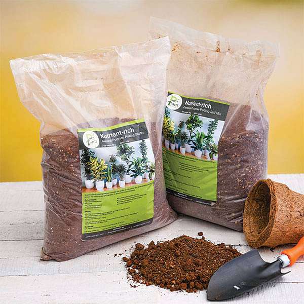 Buy Nutrient-rich general purpose potting soil mix