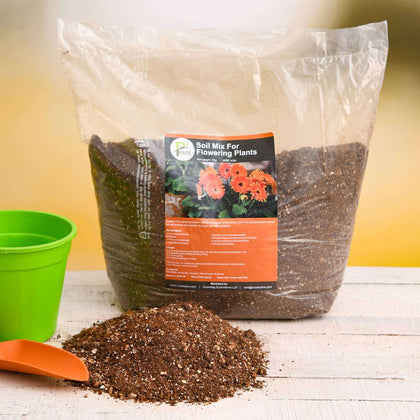 potting mix for flowering plants Buy Potting Soil Mix for Flowering Plants