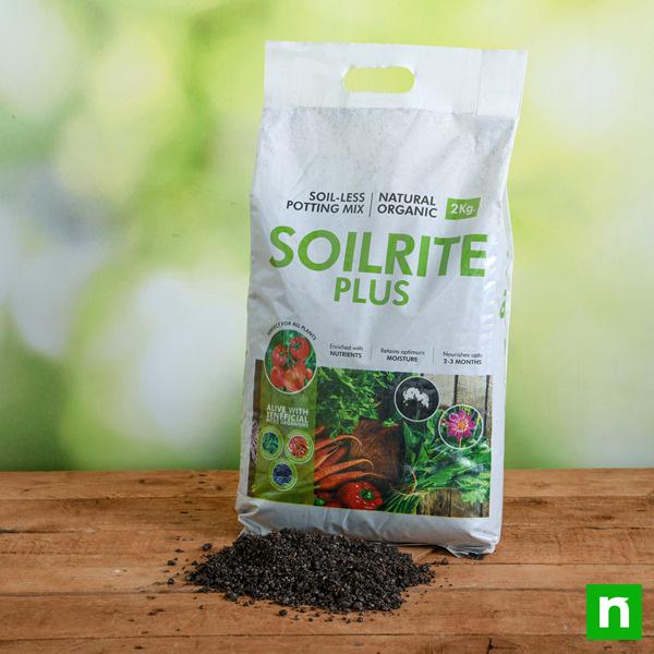 soilrite plus (soil - less potting mix with nutrients)