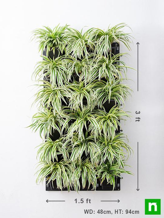 stunning spider plants for attractive indoor vertical garden 
