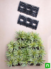 stunning spider plants for attractive indoor vertical garden 