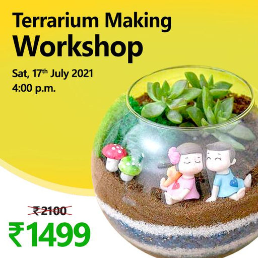 terrarium making workshop 