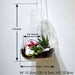 bulb - shaped hanging terrarium (9in ht)