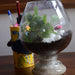 fittonia wine goblet terrarium (6in ht) 