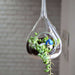 hanging orb pear terrarium (10in ht) 