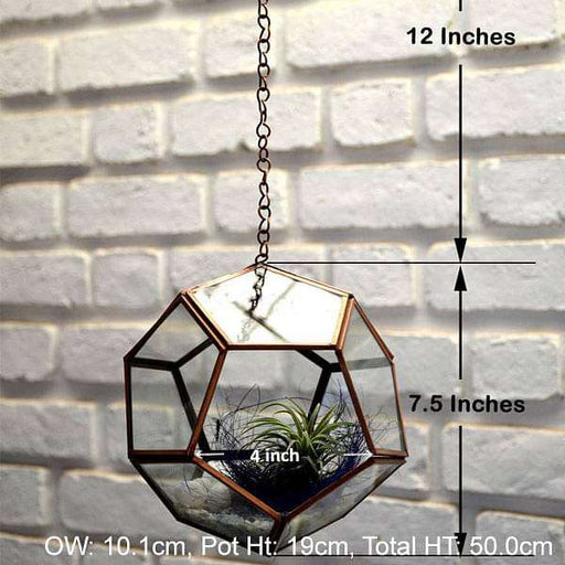 hanging pentagon terrarium (7.5in ht) 