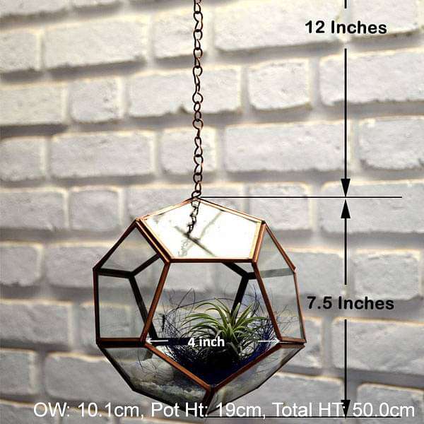 hanging pentagon terrarium (7.5in ht) 