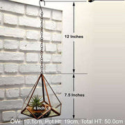 hanging pyramidal terrarium (7.5in ht) 