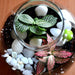 round flask colorful terrarium (4in ht) 