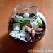 round flask colorful terrarium (4in ht) 