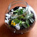 round flask green terrarium (4in ht) 