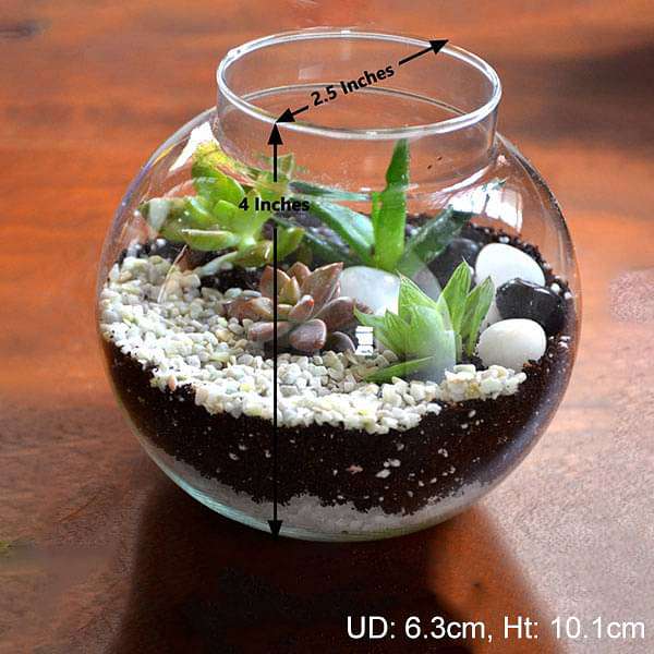 round flask succulent terrarium (4in ht) 
