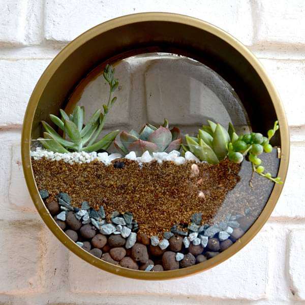 round terrarium planter Buy Wall mounting round terrarium (8.5in Ht) online from Nurserylive at  lowest price