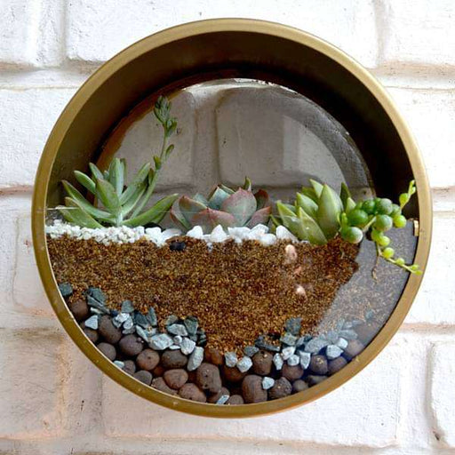 wall mounting round terrarium (8.5in ht) 