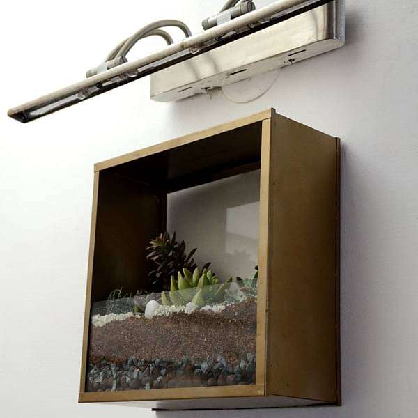 wall mounting square terrarium (10in ht) 