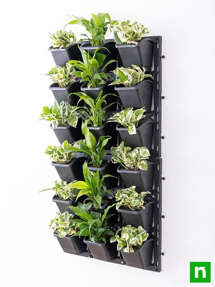 best plants for indoor living wall Buy Textured Indoor Green Wall with Best Foliage Plants online from Nurserylive at lowest price