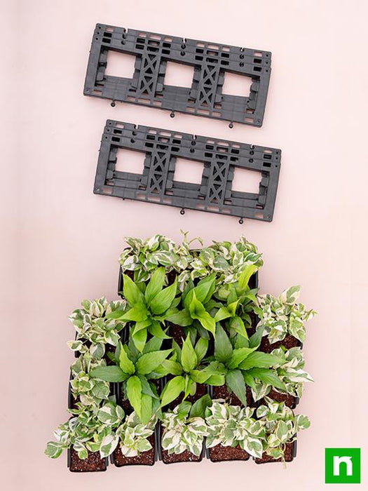 textured indoor green wall with best foliage plants 