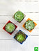 top 4 rose shaped succulent pack 