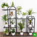 transform home space receiving indirect light with houseplants on metal stand 