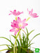 Product image thumbnail 5
