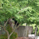 Product image thumbnail 2